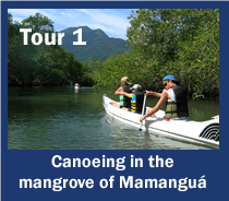 Tur 1: Canoagem no manguezal do Mamangua