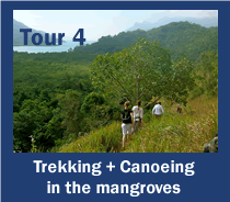 Tur 4: Trekking +canoagem no manguezal do Mamangua