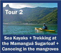 Tur 2: Canoagem Oceânica + Trekking ao Pão de Açúcar + Canoas no manguezal