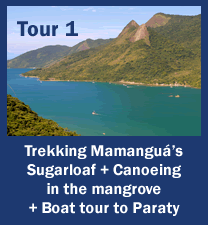 Tur 1: Canoagem no manguezal do Mamangua