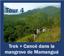 Tur 4: Trekking +canoagem no manguezal do Mamangua