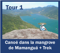 Tur 1: Canoas no manguezal do Mamanguá + Trekking