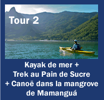 Tur 2: Canoagem Oceânica + Trekking ao Pão de Açúcar + Canoas no manguezal