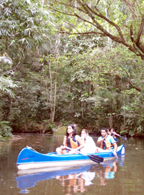 Canoas no manguezal