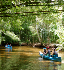 Canoagem no mangue de Paraty Costa Verde