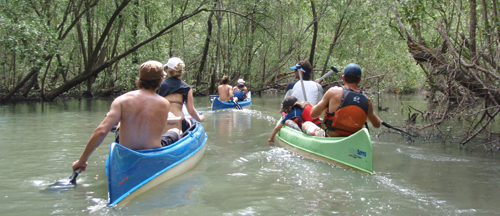 Turismo no Saco do Mamanguá