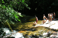Cachoeira ao fim do manguezal