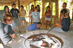 Canoagem no Mamanguá