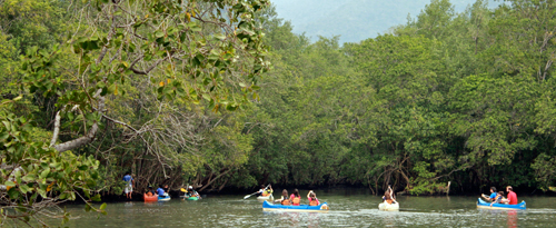 Cajaíba Costa Verde