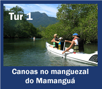 Tur 1: Canoagem no manguezal do Mamangua