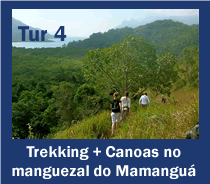 Tur 4: Trekking +canoagem no manguezal do Mamangua